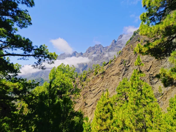 Parco Nazionale della Caldera de Taburiente a La Palma — Foto Stock