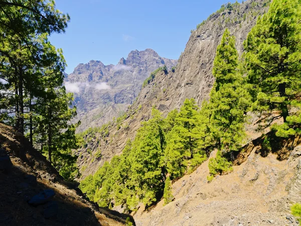 Park narodowy Caldera de taburiente na la palma — Zdjęcie stockowe