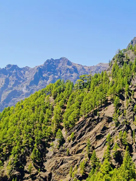 Parque Nacional Caldera de Taburiente en La Palma — Foto de Stock