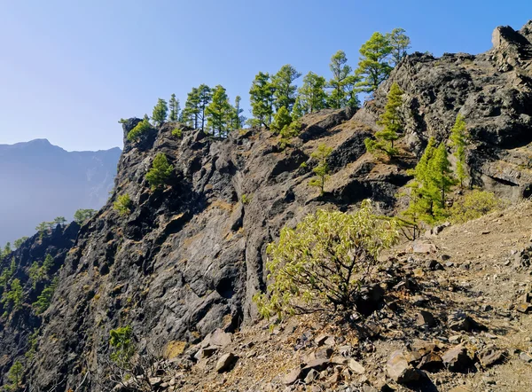 Caldera de taburiente nationalpark på la palma — Stockfoto