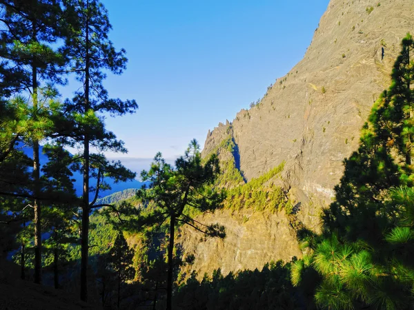 Parque Nacional Caldera de Taburiente en La Palma — Foto de Stock