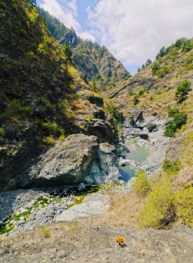 Caldera de taburiente ulusal park la palma