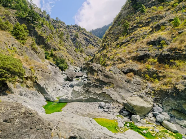 Caldera de Taburiente Nationalpark på La Palma - Stock-foto