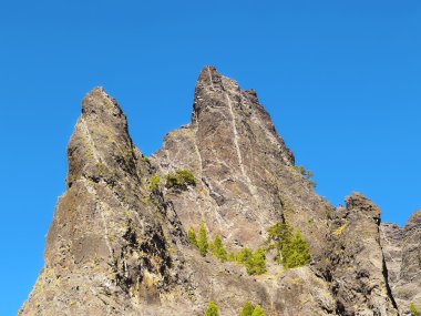 Caldera de taburiente ulusal park la palma