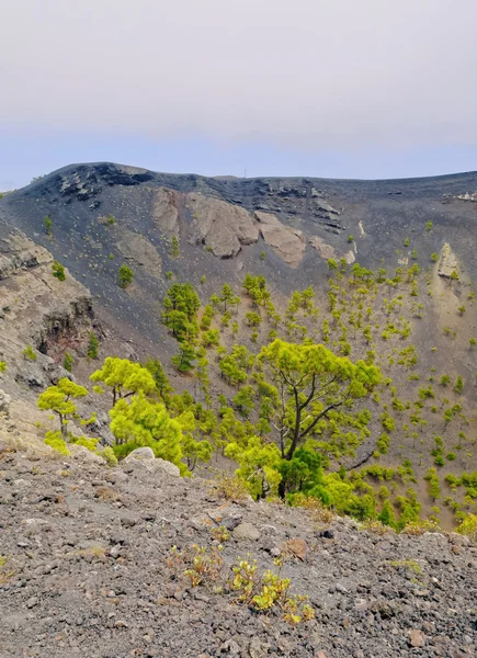 Vulkaan san antonio in het dorp fuencaliente op la palma — Stockfoto