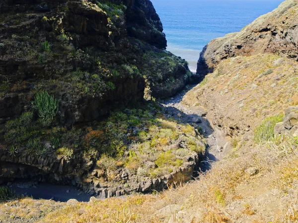 Vallée sur La Palma — Photo