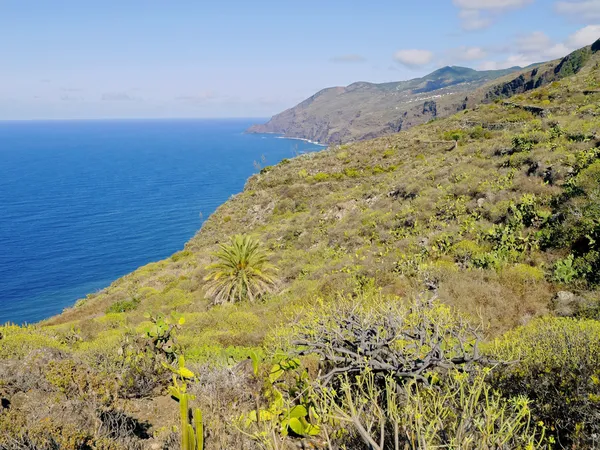 Kustlijn van La palma, Canarische eilanden — Stok fotoğraf