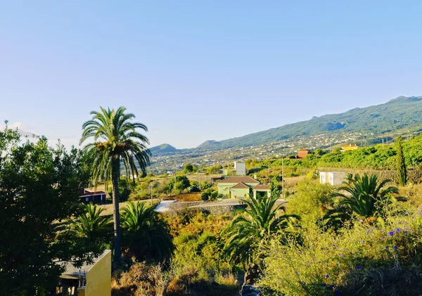 La Palma, Canary Islands — Stok fotoğraf