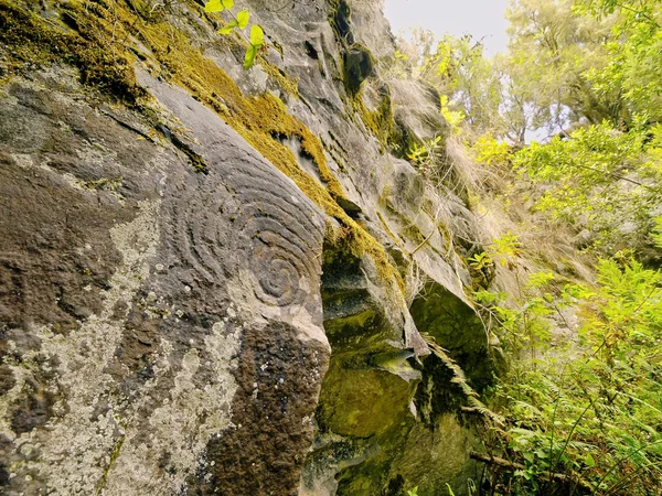 Zarza e Zarcita, La Palma — Fotografia de Stock