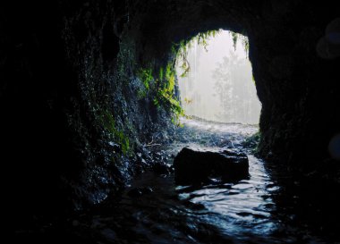 nacientes marcos y cordero iz, la palma