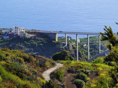 Los soslar, la palma