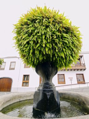 Santa Cruz de La Palma