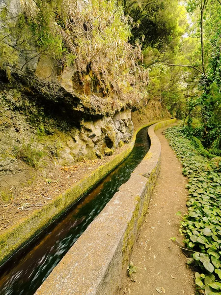Nacientes Marcos y Cordero Trail, La Palma — Stockfoto