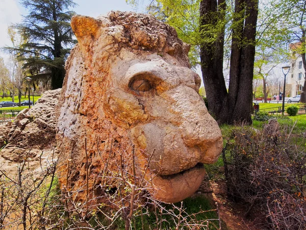 Lion of Ifrane, Morocco