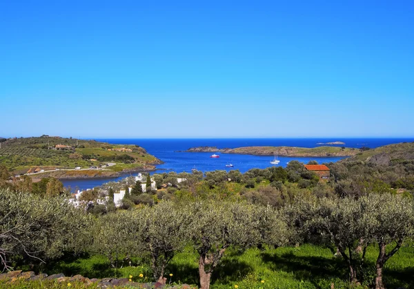 Portlligat in Catalogna, Spagna — Foto Stock