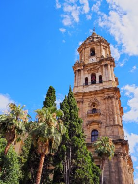 Malaga, İspanya 'daki Katedral