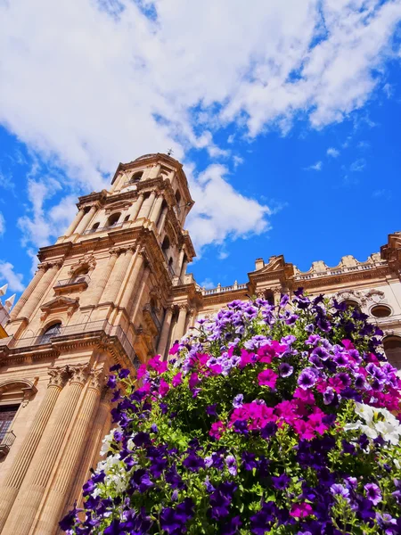 Catedral em Málaga, Espanha — Fotografia de Stock