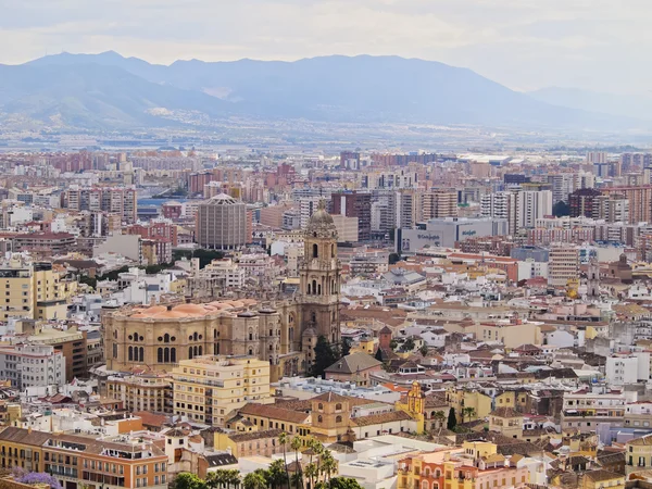 Malaga, İspanya 'daki Katedral — Stok fotoğraf