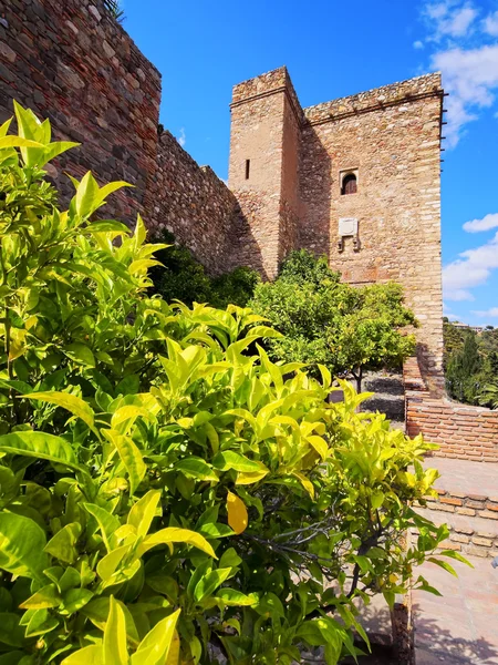 Alcazaba en Albacete, Espagne — Photo