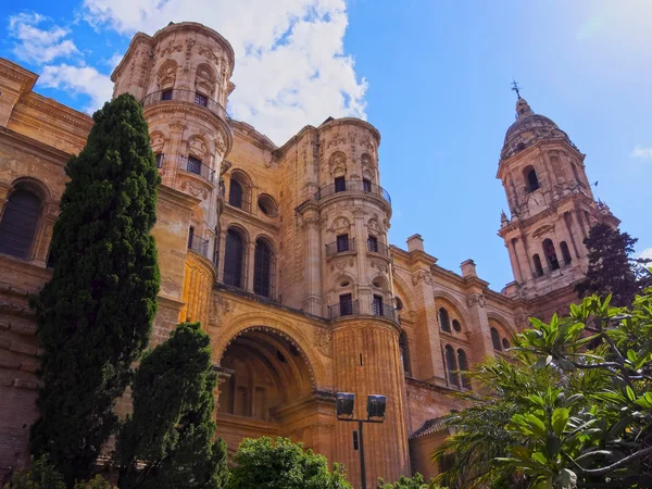 Kathedraal van Malaga, Spanje — Stockfoto