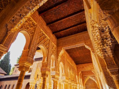 Palacios nazaries Granada, İspanya