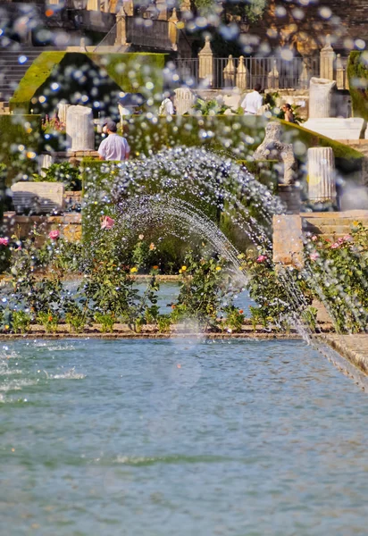 Alcazar i cordoba, Spanien — Stockfoto