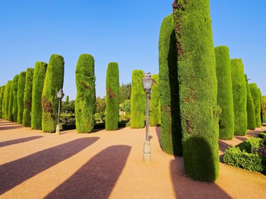 Alcazar Cordoba, İspanya