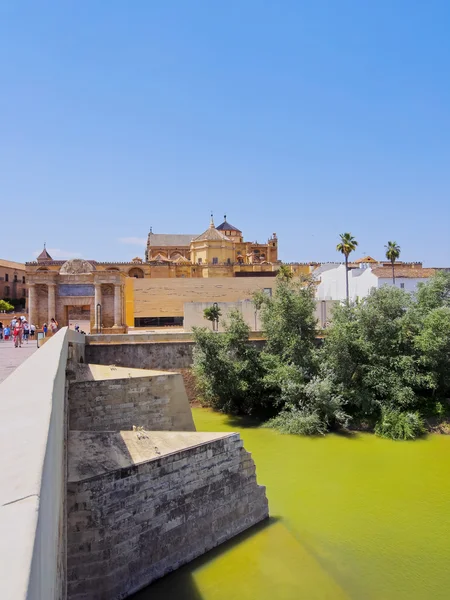 De rivier Guadalquivir in cordoba, Spanje — Stockfoto