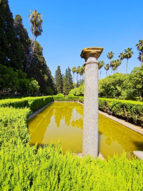 bahçelerde alcazar Seville, İspanya