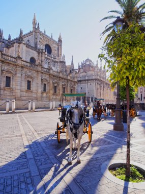 Sevilla, İspanya katedral önünde küçük yük arabalar