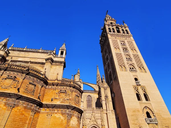 Katedral i Sevilla, Spanien - Stock-foto