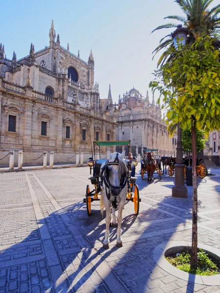 Carriages in front of the Cathedral of Seville, Spain — Stock Photo, Image