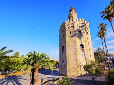 Torre del oro Seville, İspanya