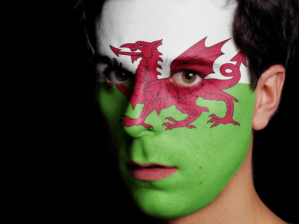 Flagge von Wales lizenzfreie Stockbilder