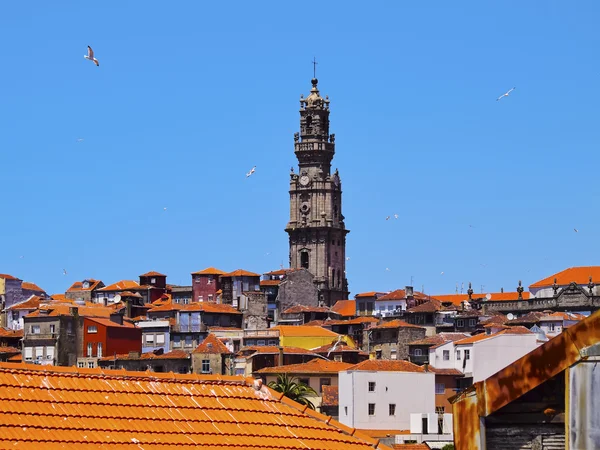 Torre Clerigos en Oporto —  Fotos de Stock