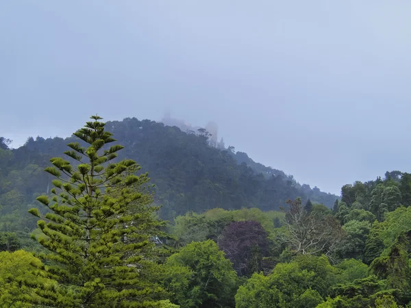 Parque del Palacio Nacional de Pena en Sintra —  Fotos de Stock