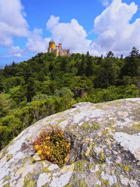 Nationalpalast und Park Pena in Sintra — Stockfoto