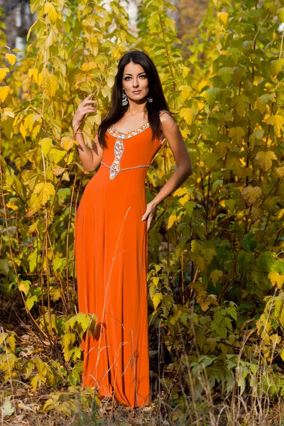 Mulher em vestido laranja na natureza — Fotografia de Stock