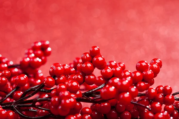 Europeu azevinho no fundo vermelho (raso DOF ) — Fotografia de Stock