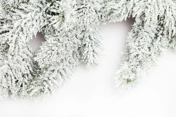 Zweig des Weihnachtsbaums mit Schnee — Stockfoto