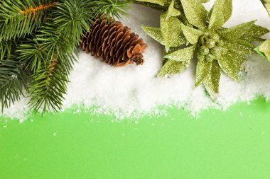 süper ve Atatürk çiçeği ile Noel ağacı dalı