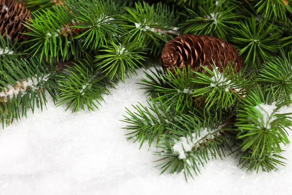 Ramo de árvore de Natal com pinecone — Fotografia de Stock