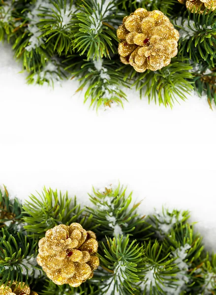 Větve vánočního stromu s borovou — Stock fotografie