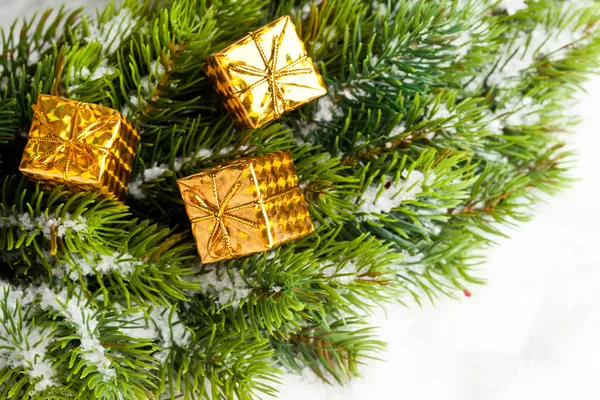 Ramo dell'albero di Natale con scatole regalo — Foto Stock