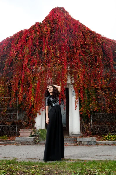 Vrouw in de buurt van de muur van de herfst bladeren — Stockfoto