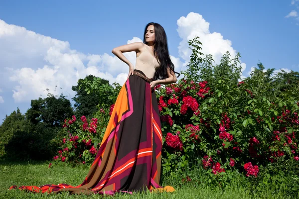 Beautiful girl on the nature — Stock Photo, Image