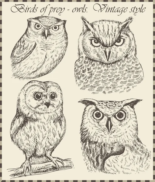 Vector set: aves - variedad de ilustraciones de aves vintage — Vector de stock