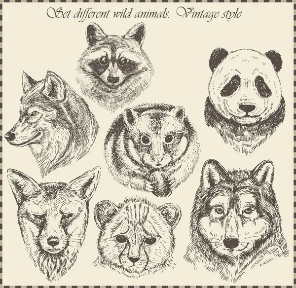 Vektor set: olika vilda djur - olika vintage stil. — Stock vektor