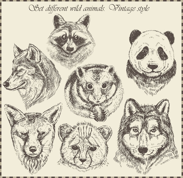vector set: different wild animals - various vintage style.