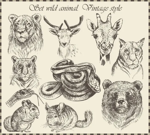 Set vectoriel : différents animaux sauvages - divers styles vintage . — Image vectorielle